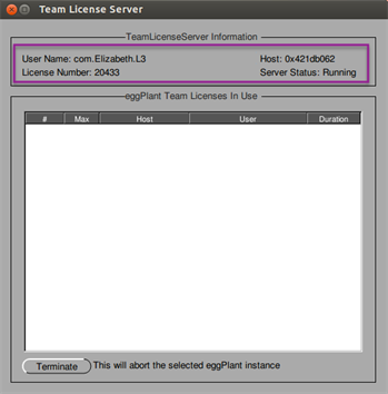 Linux上のTeam License Serverウィンドウ
