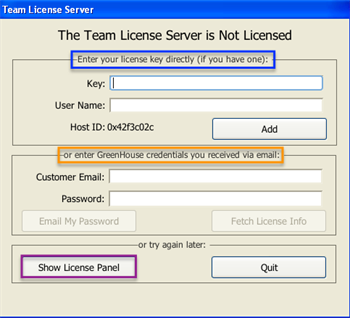 The Team License Server License Panel on Windows