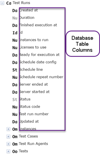 Database table column names in the Eggplant Manager custom report builder