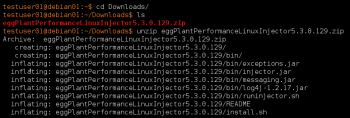 Linux injector
