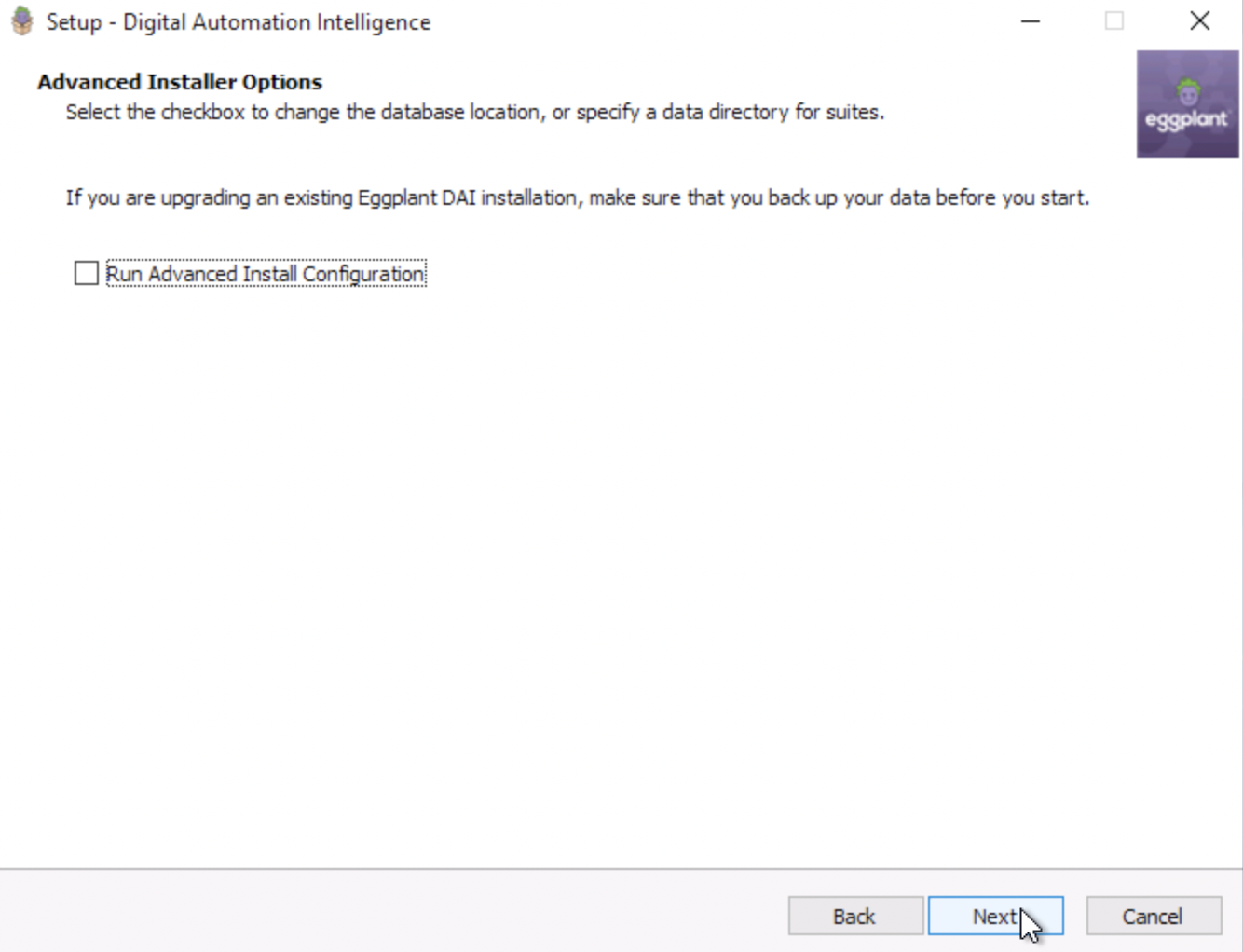 The Advanced Installer Options panel, where you can choose customize your installation with advanced installation options