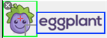 The highlight box on an element identified in an Auto Scan session