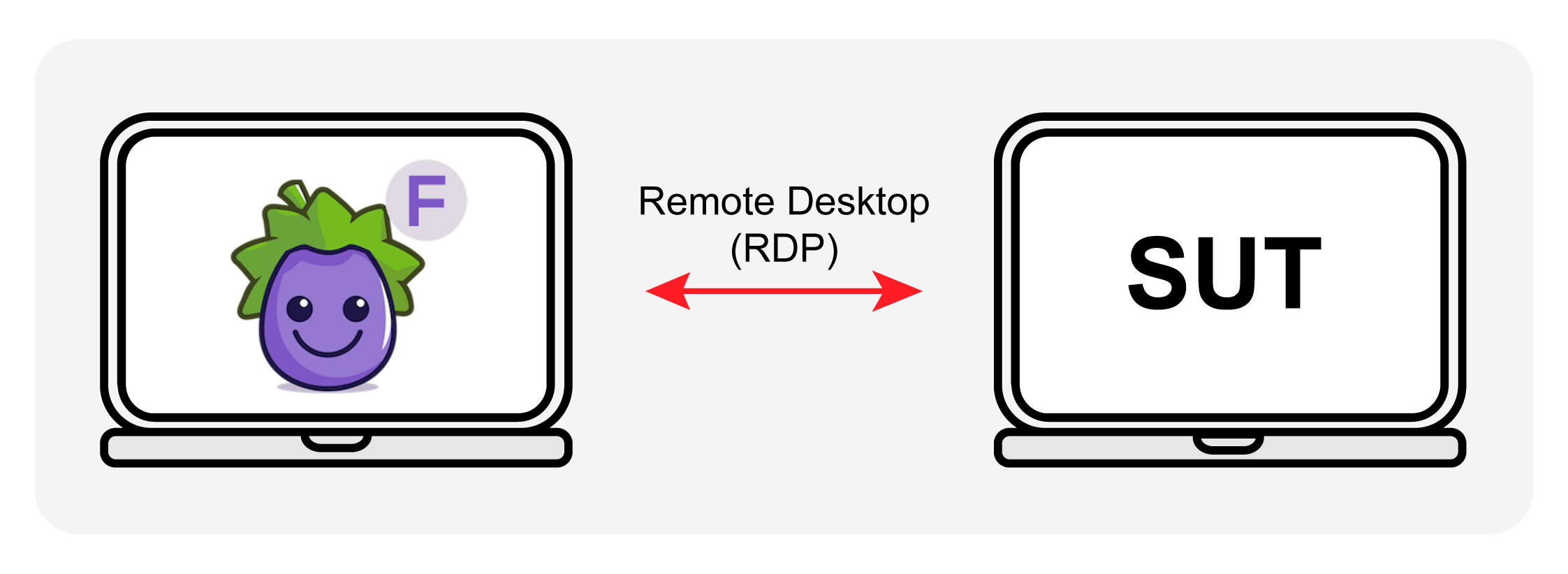 RDP connections are two-system connections where the Eggplant Test product connects to a remote 