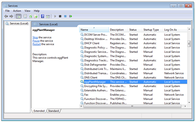 The Microsoft Windows Service control panel with Eggplant Manager selected