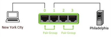 Eggplant Network point-to-point diagram