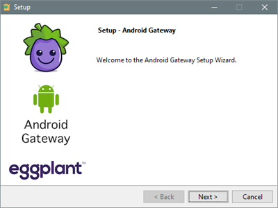 The Android Gateway setup wizard for Windows