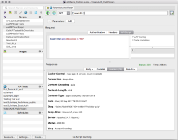 The API tab in Eggplant Functional